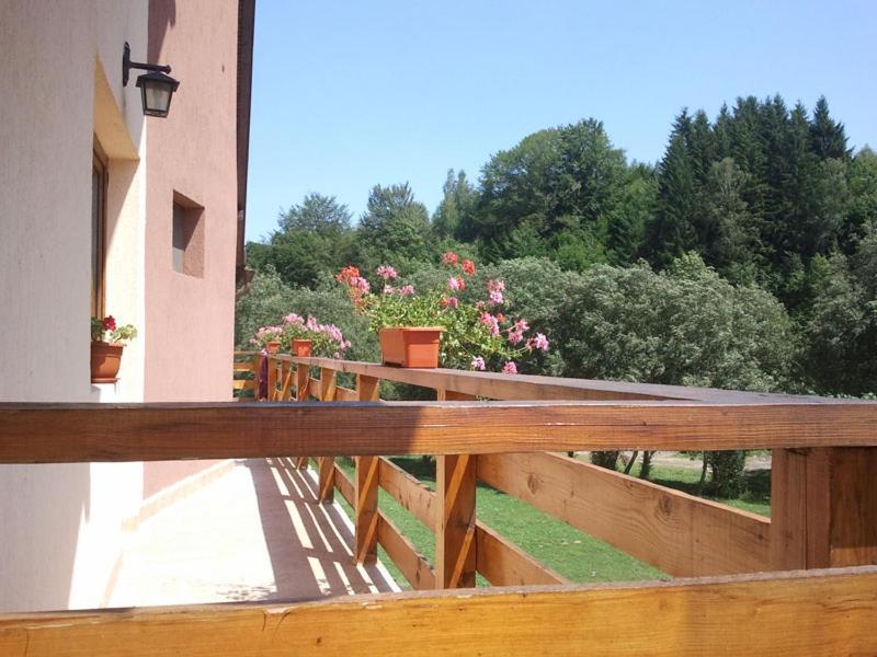 Pensiunea Arinul Moieciu de Jos Exterior foto